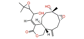 Xeniolide I